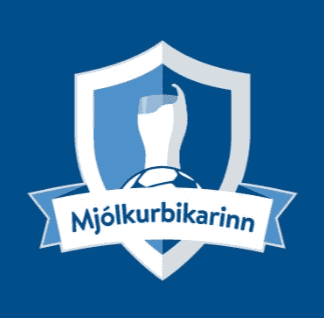 Icelandic Cup